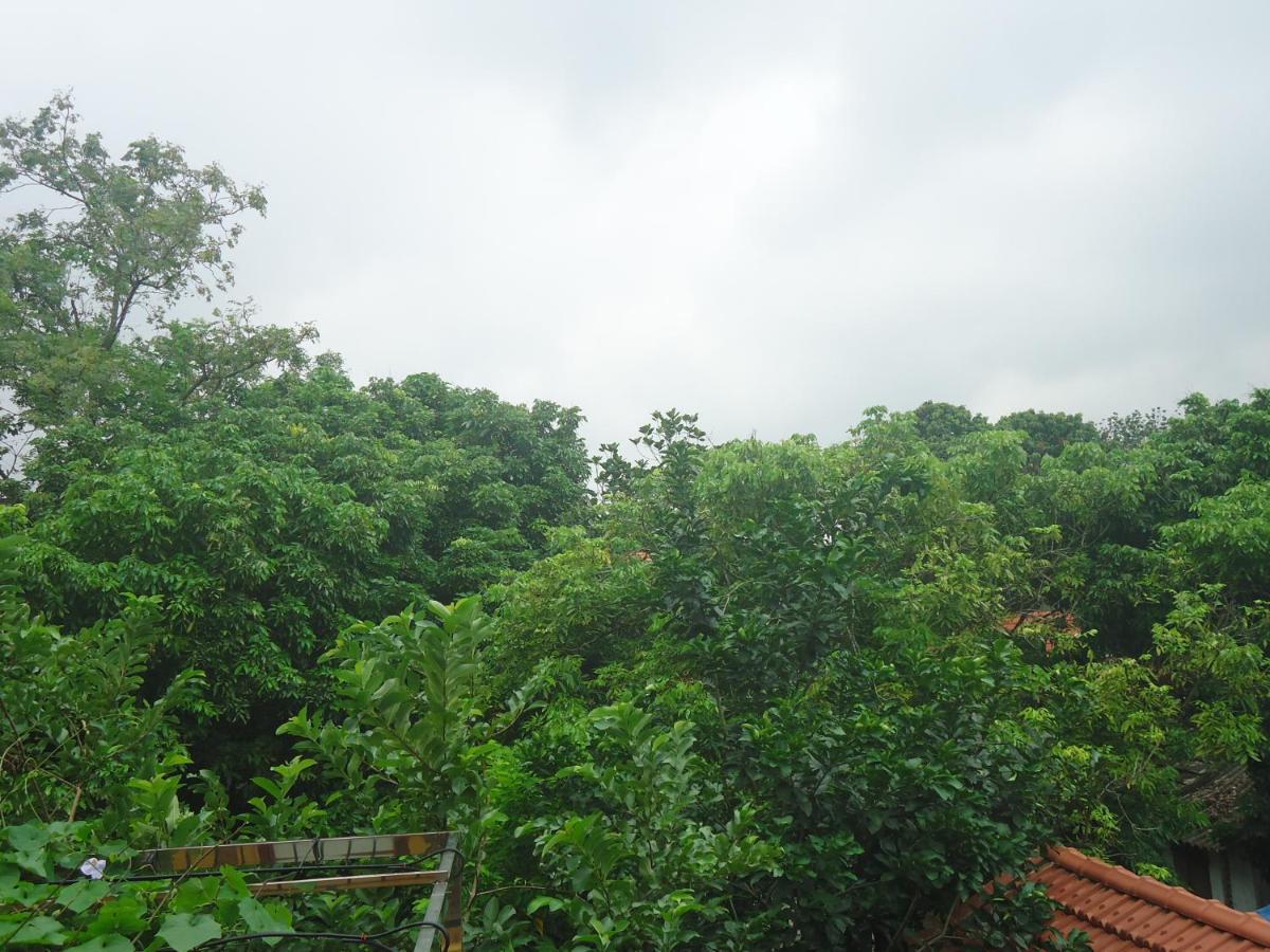 Green Space Homestay ニンビン エクステリア 写真